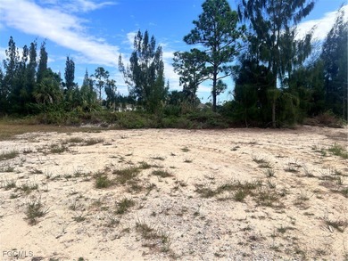 Great opportunity to own a slice of heaven in Florida, this - photo 3