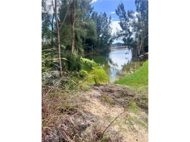 Great opportunity to own a slice of heaven in Florida, this - photo 4