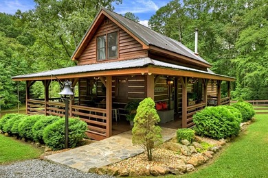 (private lake, pond, coastal) Home Active Under Contract in Ellijay Georgia