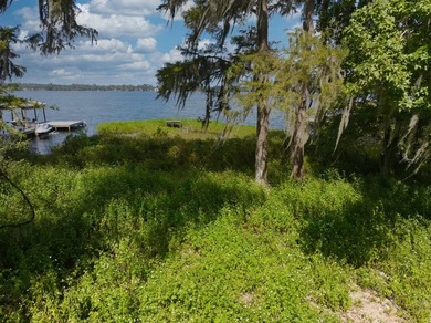 Lakefront Lot on Sought-After Cherry Lake - Madison, Florida - photo 14