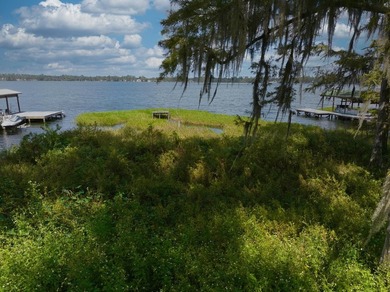 Lakefront Lot on Sought-After Cherry Lake - Madison, Florida - photo 15