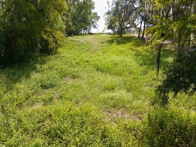 Lakefront Lot on Sought-After Cherry Lake - Madison, Florida - photo 16