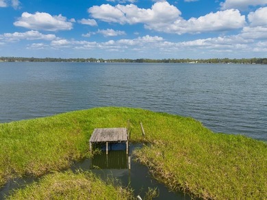 Lakefront Lot on Sought-After Cherry Lake - Madison, Florida - photo 19