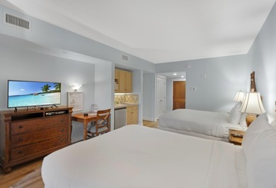 GREAT NEW PRICE!!! TWO-BEDROOM THREE BATH, LOCK-OUT STUDIO ON - photo 21