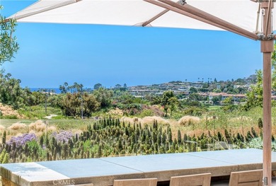 51 Monarch Beach Resort S - photo 26