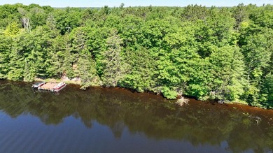 Attention all Three Lakes Chain waterfront buyers: Imagine - photo 2