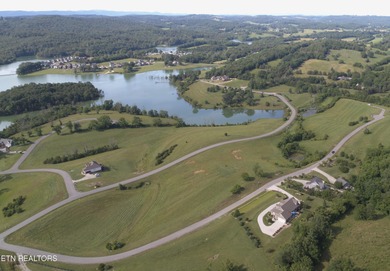 Lake Living Dreams can come true! Lot 73CR could be the .85 - photo 2