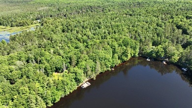 Attention all Three Lakes Chain waterfront buyers: Imagine - photo 4