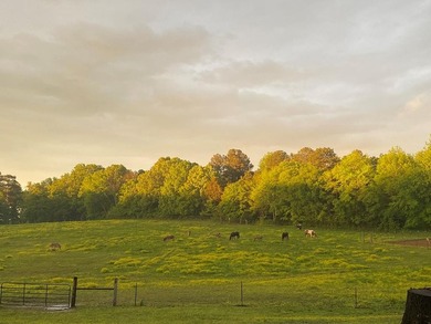 This property is Lake Life meets Farm Life! WALKING DISTANCE to - photo 34