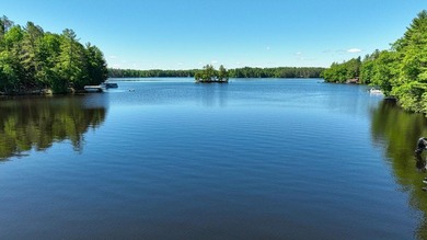 Attention all Three Lakes Chain waterfront buyers: Imagine - photo 5