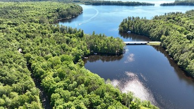 Attention all Three Lakes Chain waterfront buyers: Imagine - photo 6