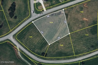 Lake Living Dreams can come true! Lot 73CR could be the .85 - photo 6