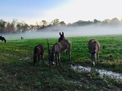 This property is Lake Life meets Farm Life! WALKING DISTANCE to - photo 36
