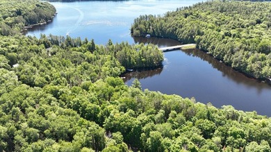 Attention all Three Lakes Chain waterfront buyers: Imagine - photo 7