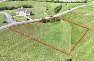Lake Living Dreams can come true! Lot 73CR could be the .85 - photo 7