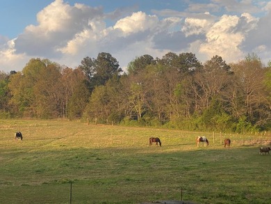 This property is Lake Life meets Farm Life! WALKING DISTANCE to - photo 37