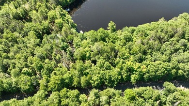 Attention all Three Lakes Chain waterfront buyers: Imagine - photo 8