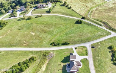 Lake Living Dreams can come true! Lot 73CR could be the .85 - photo 8
