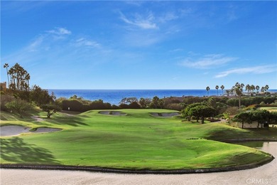 51 Monarch Beach Resort S - photo 38