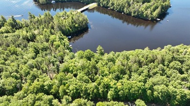 Attention all Three Lakes Chain waterfront buyers: Imagine - photo 9