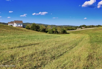 Lake Living Dreams can come true! Lot 73CR could be the .85 - photo 9