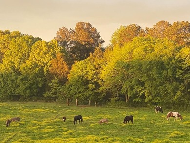 This property is Lake Life meets Farm Life! WALKING DISTANCE to - photo 39