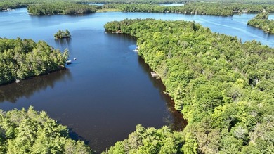Attention all Three Lakes Chain waterfront buyers: Imagine - photo 10