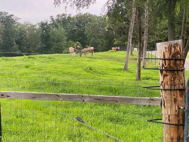 This property is Lake Life meets Farm Life! WALKING DISTANCE to - photo 41