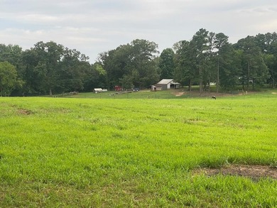 This property is Lake Life meets Farm Life! WALKING DISTANCE to - photo 42