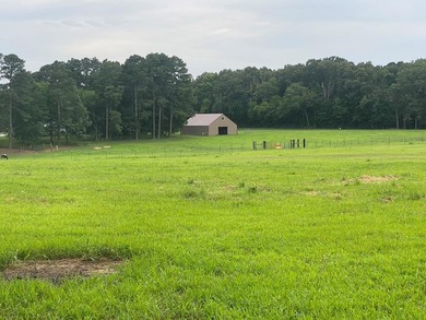 This property is Lake Life meets Farm Life! WALKING DISTANCE to - photo 43