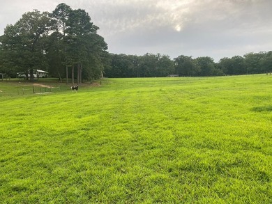 This property is Lake Life meets Farm Life! WALKING DISTANCE to - photo 44