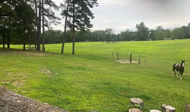 This property is Lake Life meets Farm Life! WALKING DISTANCE to - photo 45