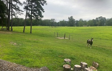 This property is Lake Life meets Farm Life! WALKING DISTANCE to - photo 46