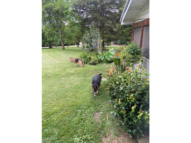 This property is Lake Life meets Farm Life! WALKING DISTANCE to - photo 48