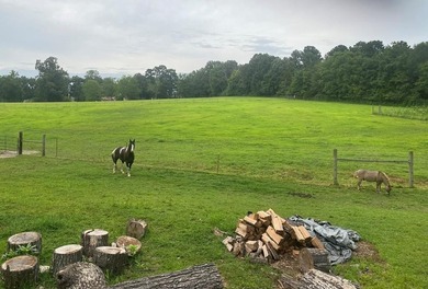 This property is Lake Life meets Farm Life! WALKING DISTANCE to - photo 60