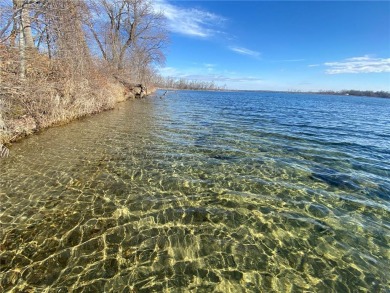 Big McDonald Lake Acreage For Sale in Edna Twp Minnesota