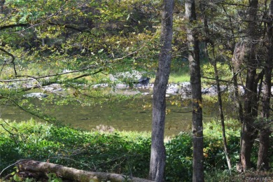 Lake Acreage For Sale in Roscoe, New York