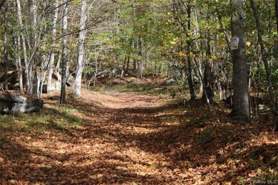 Discover your private 290+ acre Catskills retreat, a true - photo 2