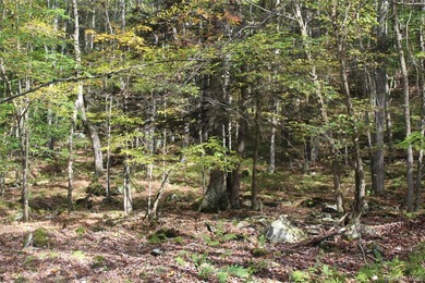 Discover your private 290+ acre Catskills retreat, a true - photo 3
