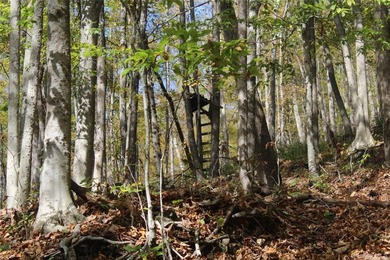 Discover your private 290+ acre Catskills retreat, a true - photo 5