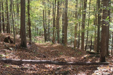 Discover your private 290+ acre Catskills retreat, a true - photo 6
