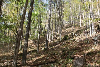 Discover your private 290+ acre Catskills retreat, a true - photo 7