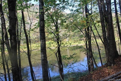 Discover your private 290+ acre Catskills retreat, a true - photo 8