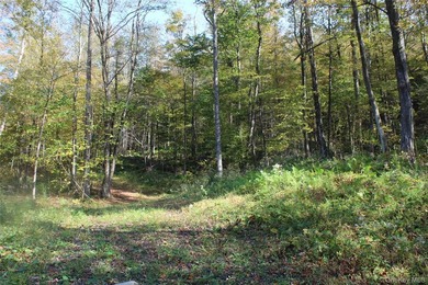 Discover your private 290+ acre Catskills retreat, a true - photo 9