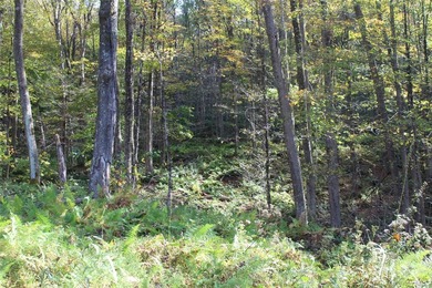 Discover your private 290+ acre Catskills retreat, a true - photo 10