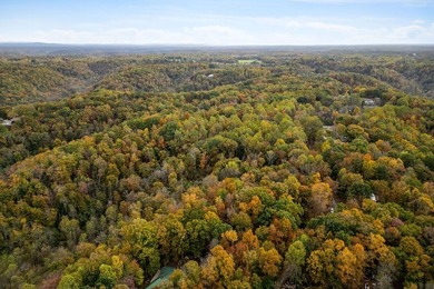Wooded land with beautiful lake views and a peaceful, private - photo 11