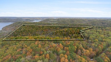 Wooded land with beautiful lake views and a peaceful, private - photo 12