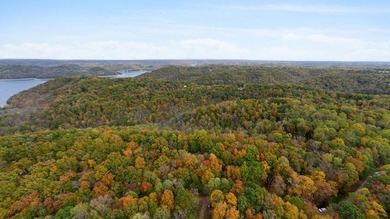 Wooded land with beautiful lake views and a peaceful, private - photo 13