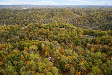 Wooded land with beautiful lake views and a peaceful, private - photo 14