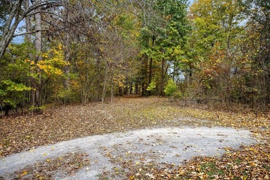 Wooded land with beautiful lake views and a peaceful, private - photo 15